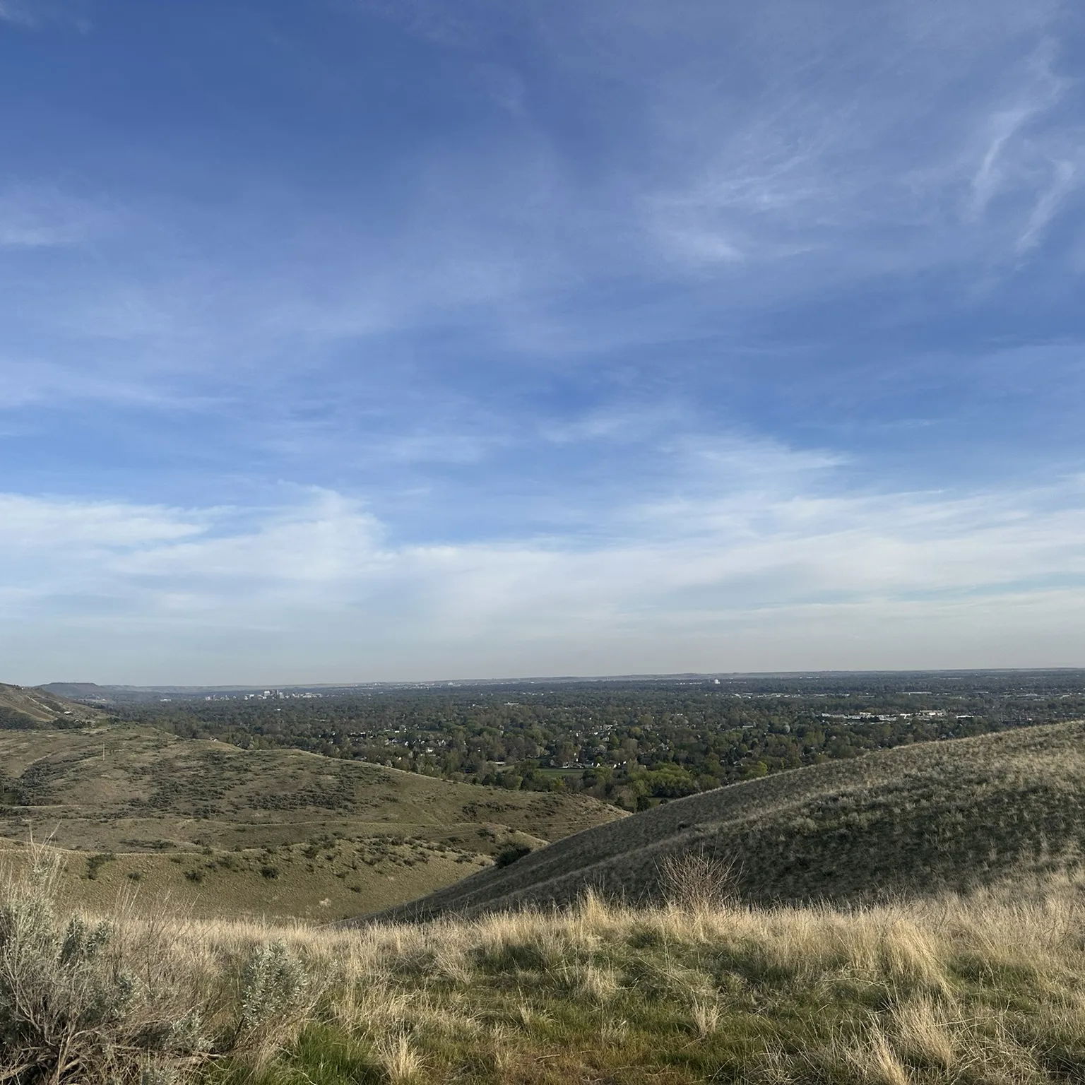 cover photo for Exploring Boise: Seaman's Gulch and Wild Phlox